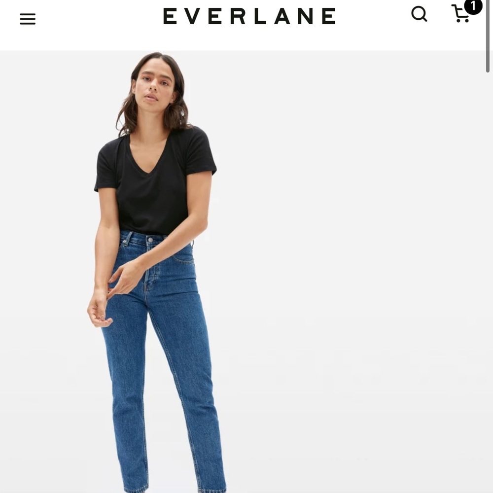 Everlane v neck Tee